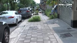 同一條路　2個月檢舉違停182次