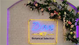 暑假IG打卡第一波10天限定！網美文青必FUN閃！（業配圖／廠商提供）