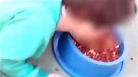 巴西戈亞斯州一名媽媽日前拿「狗飼料」餵食2歲兒子，更誇張的是，她還將餵食過程拍下來，分享到家族的群組，後來男童的奶奶看到，氣得要向媳婦提告。目前男童的媽媽恐會被刑事起訴，而男童疑吃狗糧身體不適，被送往醫院檢查。（圖／翻攝自Mirror.co.uk）