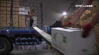 備戰颱風穩菜價　林聰賢：勿盲目囤積