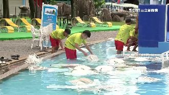 宜蘭童玩節防颱休園　椅壓水中防吹散
