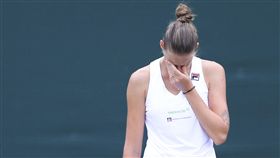 Karolina Pliskova（圖／美聯社／達志影像）