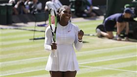 小威第11次闖進溫網女單4強。（圖／美聯社／達志影像）