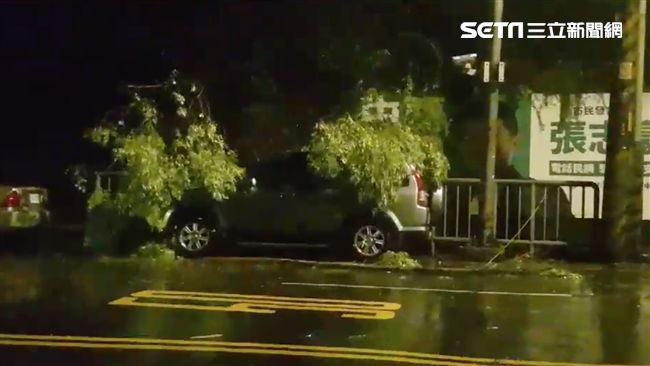 瑪莉亞狂掃北台灣！路樹砸中休旅車