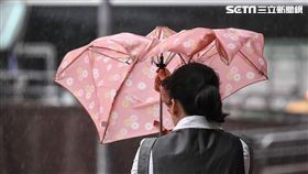 颱風瑪莉亞來襲，台北市區民眾冒風雨下班，風雨、大雨、豪雨。 （圖／記者林敬旻攝）