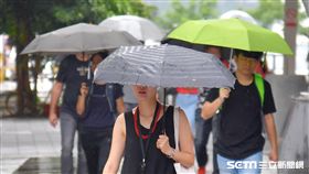 颱風瑪莉亞襲台　清潔隊忙清理（1）颱風瑪麗亞襲台，台北市部分地區路樹遭強風吹倒，清潔隊員上午將馬路上的樹枝暫時放置在人行道上，確保行車安全。中央社記者徐肇昌攝　107年7月11日