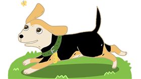 名家／毛起來／狗狗出門4大戶外危機