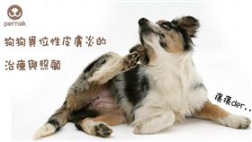 ▲圖／翻攝自PetTalk官網