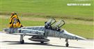 Ｆ-5黃斑相間虎斑紋彩繪機，象徵著基地所孕育出的小老虎。（記者邱榮吉/台東拍攝）