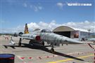 Ｆ-5黃斑相間虎斑紋彩繪機，象徵著基地所孕育出的小老虎。（記者邱榮吉/台東拍攝）