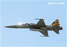 Ｆ-5黃斑相間虎斑紋彩繪機，象徵著基地所孕育出的小老虎。（記者邱榮吉/台東拍攝）