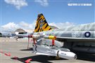 Ｆ-5黃斑相間虎斑紋彩繪機，象徵著基地所孕育出的小老虎。（記者邱榮吉/台東拍攝）