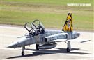 Ｆ-5黃斑相間虎斑紋彩繪機，象徵著基地所孕育出的小老虎。（記者邱榮吉/台東拍攝）