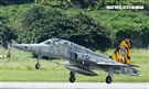 Ｆ-5黃斑相間虎斑紋彩繪機，象徵著基地所孕育出的小老虎。（記者邱榮吉/台東拍攝）