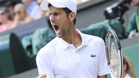 喬科維奇。（圖／美聯社／達志影像）