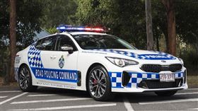 Kia Stinger V6 330S警車。（圖／翻攝Kia網站）