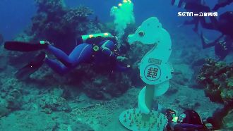 海馬郵筒挺過強颱　7/13恢復營業