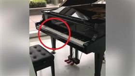 鋼琴自己演奏／臉書爆廢公社