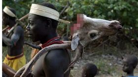 印度洋安達曼群島有一個隱世部落「加洛瓦」（Jarawa），他們曾與世隔絕5.5萬年，但因政府開發公路，讓不少盜獵者入侵，影響到洛瓦人的食物來源。有保護組織指出，加洛瓦人在10年內可能面臨滅族。（圖／翻攝自太陽報）