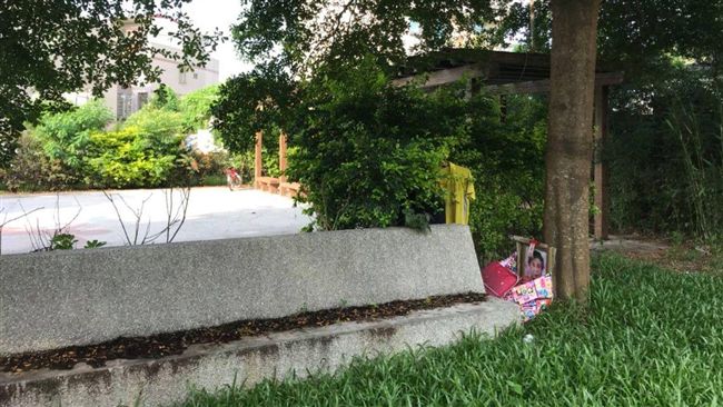 帶母遺照流浪　公園遺照尋獲主人