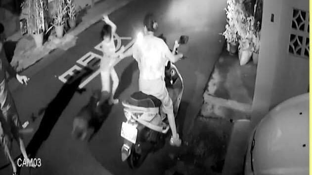 女兒遭比特犬飛撲　母怒控鄰居反挨轟