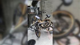  oBike,裝置藝術,爆料公社,交纏　圖／翻攝自臉書爆料公社