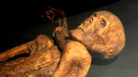木乃伊,冰人奧茨,Ötzi(圖/翻攝維基百科)