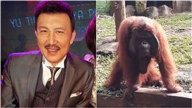 余天（合成圖/翻攝自臉書、微博）