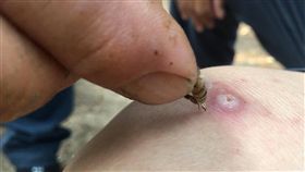 大陸,河南,養蜂人,蜂療,蜜蜂
https://www.xuehua.us/2018/07/14/%E6%B2%B3%E5%8D%97%E8%9C%82%E5%86%9C%E7%94%A8%E8%9C%82%E7%96%97%E5%85%8D%E8%B4%B9%E7%BB%99%E4%BA%BA%E7%9C%8B%E7%97%85%EF%BC%8C-%E6%9C%80%E5%A4%9A%E4%B8