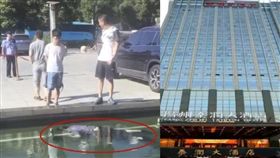 江蘇泰潤大酒店噴水池驚見男屍（圖／翻攝自微博）