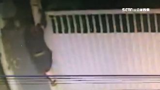 剪電線買毒　警埋伏逮「毒蜘蛛」