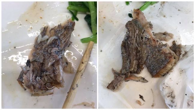 他吃白帶魚見滿滿線蟲　店家：正常的