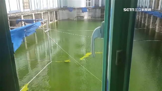 墾丁倒閉飯店無人理…中庭荒廢積水