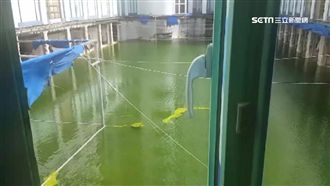 墾丁倒閉飯店無人理…中庭荒廢積水