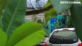 高瞻秘案,伴屍兩週,示意,浴缸,情殺,恐怖情人