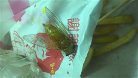 16:9
有刺客！出門點個炸薯條　老闆加贈完整嘎蹦脆：翅膀都還在
圖／翻攝自靠北海大
https://www.facebook.com/story.php?story_fbid=2044988488847261&substory_index=0&id=1743732072306239