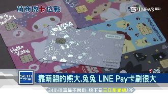 熊大幫搶市！中信銀奪回6月刷卡王