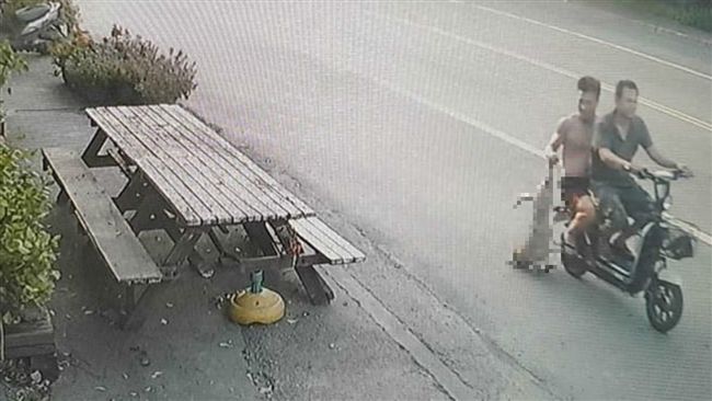 毛小孩曬太陽！竟遭移工拖走辦烤肉趴