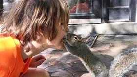 還是家裡最溫暖！小松鼠回恩人家「探親」　人鼠互動超溫馨（圖／翻攝自cidandbella IG）松鼠,美國,探親,恩人,串門子