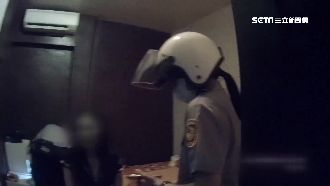 「榕樹下警局」成立　每3天掃黃1次