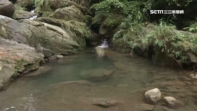 他救溺水童　擋抓交替！6年後卻病逝
