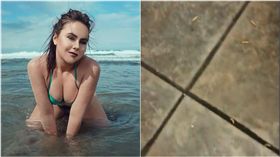 高級飯店滿地蛆蠕動　爆乳女崩潰尖叫 圖／翻攝自推特