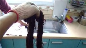 水電工拉出超長榕樹根。（圖／翻攝自台灣水電工聯盟臉書）