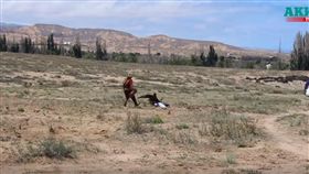 8歲女童成大雕獵物！衝出觀賞區遭撲倒啃食（圖／翻攝自YouTube）