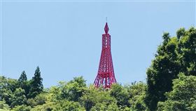 桃園巴陵鐵塔
翻攝自優熹農園臉書