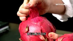 (深一度)火龍果補胎