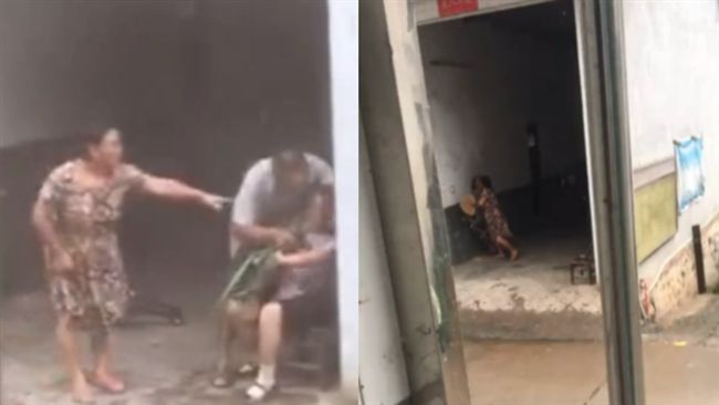 兒逼老母吃草　媳婦幫嗆：妳吃不吃？