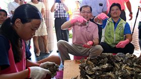 嘉義囡仔暑期剖蚵洗愛玉　體驗人文風情