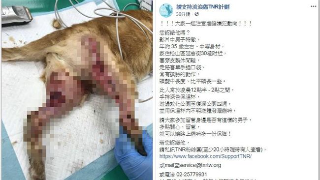獨／嫌犯抓到了！貓咪遭藥劑潑灑潰爛