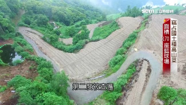 竊占國土種菜！面積達170座籃球場